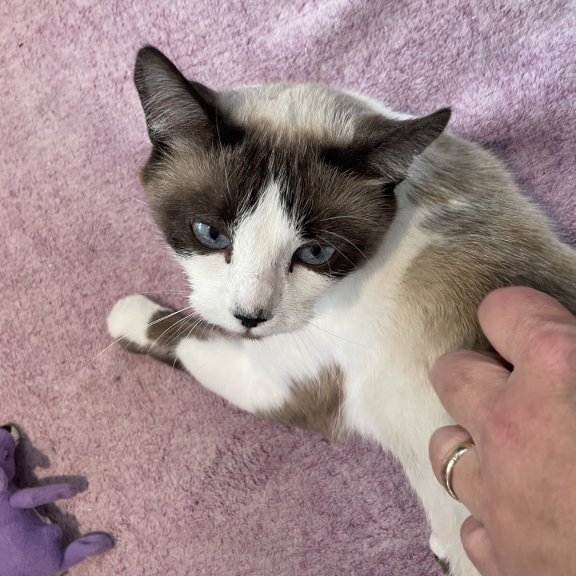 Time for some scritches