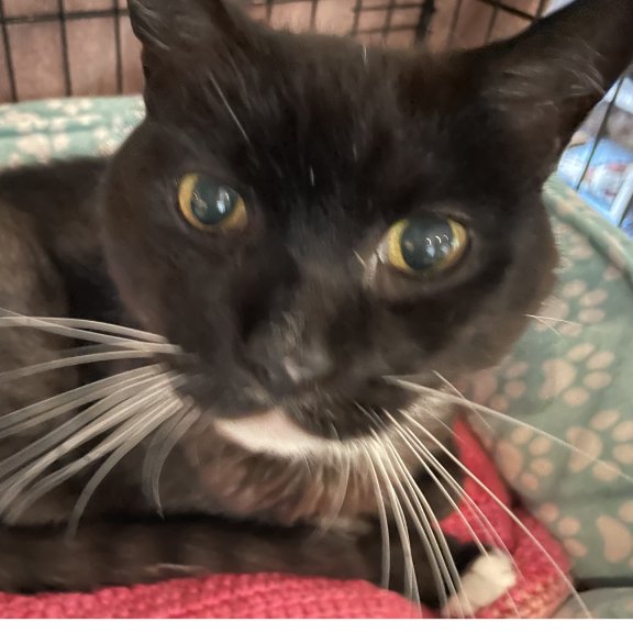 Up close and personal