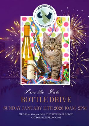 Purple-Fireworks-2025-New-Year-Poster