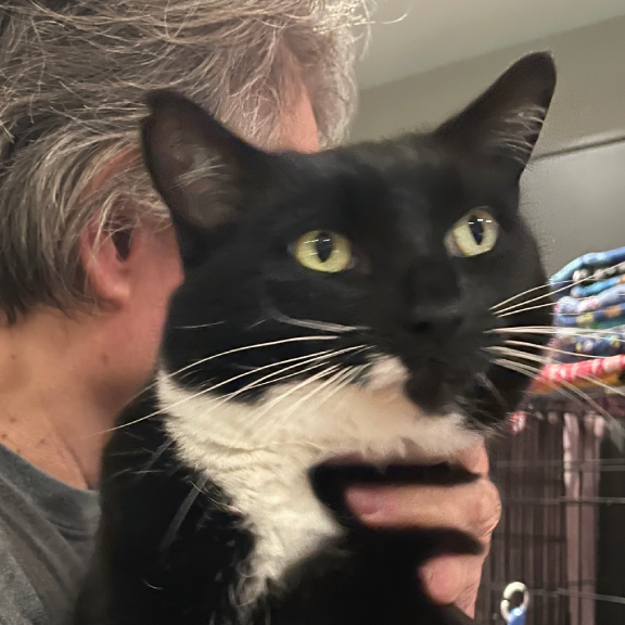 Scratch There Please!