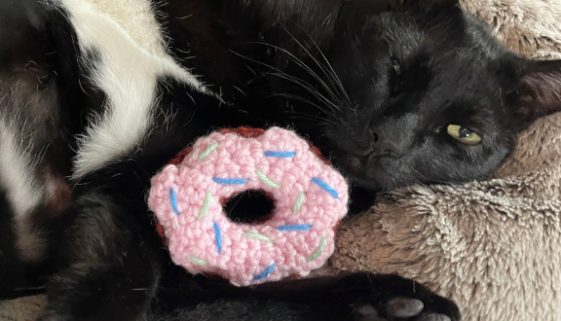Terry and his doughnut