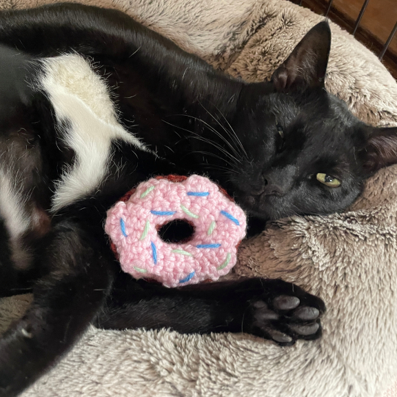 Terry and his doughnut