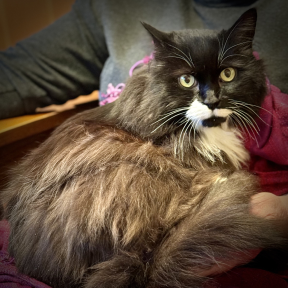 IMG_0675 Look at That Colour!