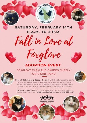 Fall in Love at Foxglove FEB. 2026