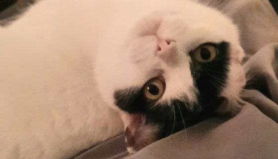 Looking up with love