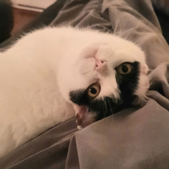 Looking up with love