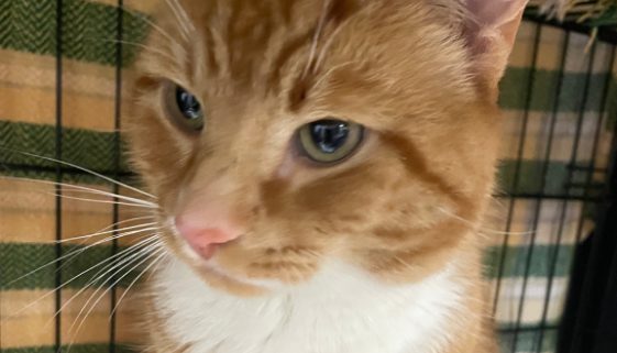 Did-you-get-my-profile_ (1)