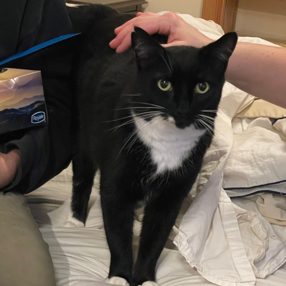 Enjoying the Attention!