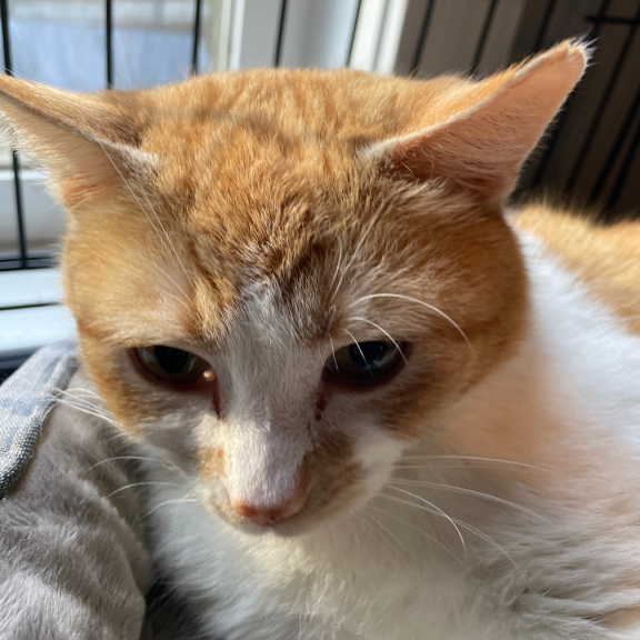 I'm a little bit shy I'm a little bit shy.