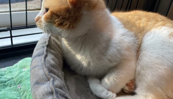 I'm waiting for my special friend