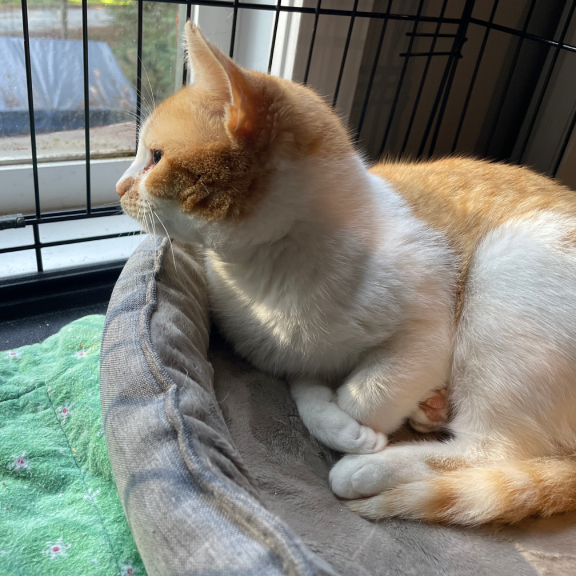 I'm waiting for my special friend