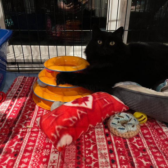 Loves to play Loves to Play!