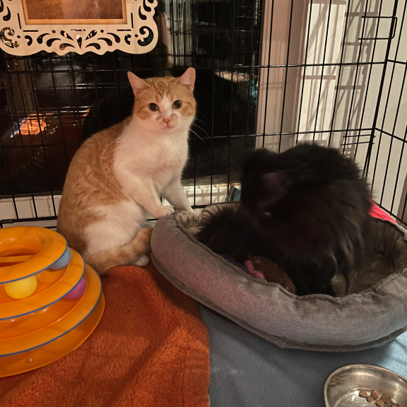 Mom, someone's in my bed Mom There is someone in my bed!