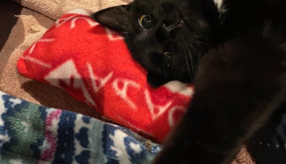 Reaching for a Hand!