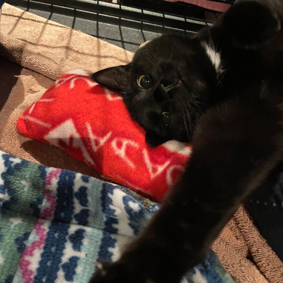 Reaching for a Hand!