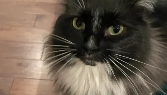 Such a beautiful girl