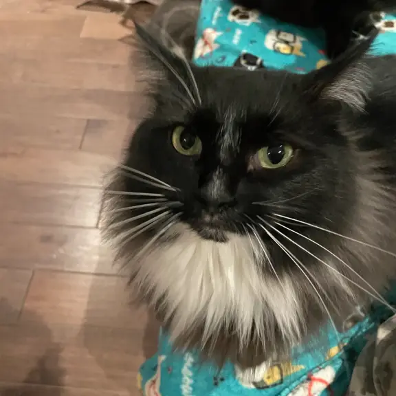 Such a beautiful girl