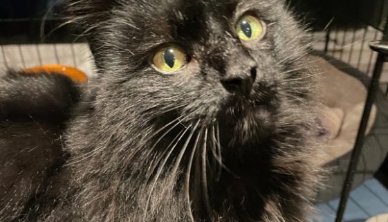 Such a gorgeous girl