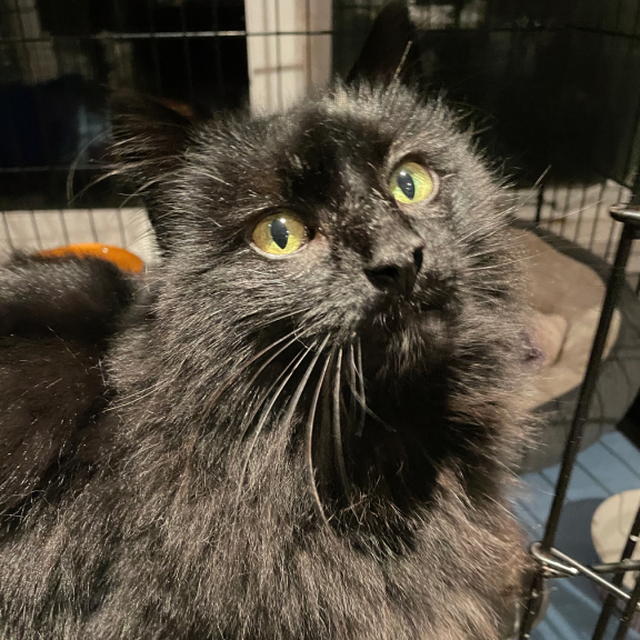 Such a gorgeous girl