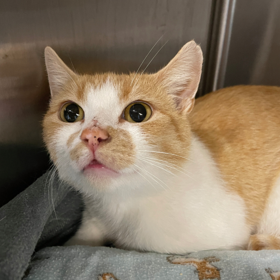 Thank you for helping me Thank you for helping me!