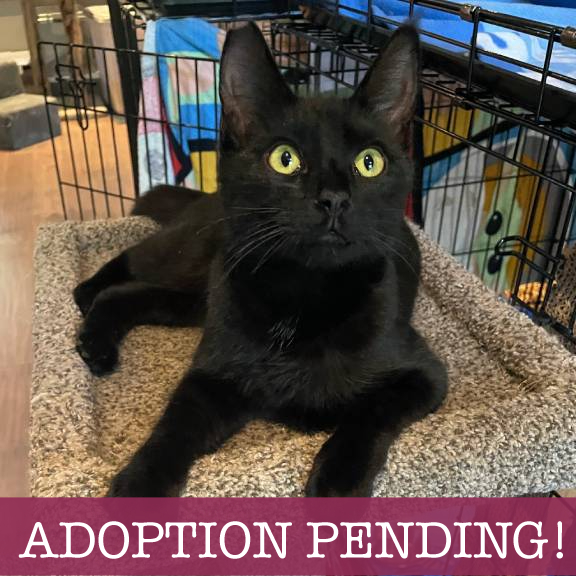 Waiting-for-action-1 (1)