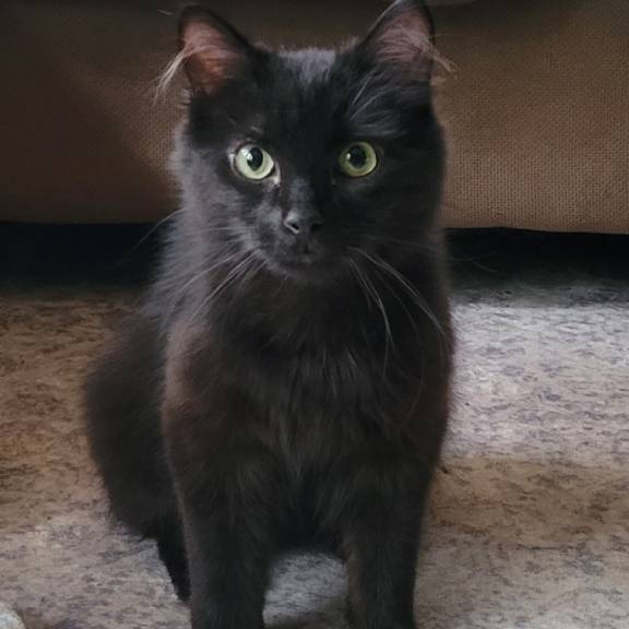 Such a Cutie!