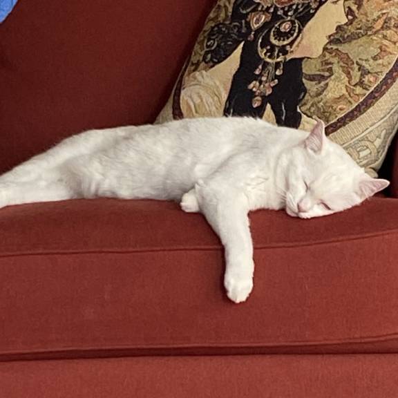 FullSizeRender Sleepy Stormy