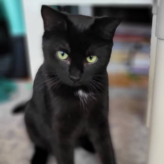 Strikes a Pose