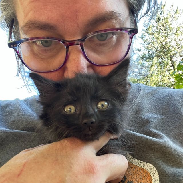 We reached an exciting milestone earlier this week. Please meet "Hundy". (Ok, the name probably won't stick.) BUT this is the 100th feline that we have taken in from our work on the north end black cat colony in 2026 (we also took in about 35 from the colony in 2025). Hundy was grabbed from one of our feeding stations on Monday night. We tried to explain the pressure of this marker (being number 100) on little Hundy, but yummy food seemed to be what the kitten was really interested in. Thanks to everyone who continues to support our work. Cat rescue is expensive. But it is so worth it. Especially for little critters like Hundy.