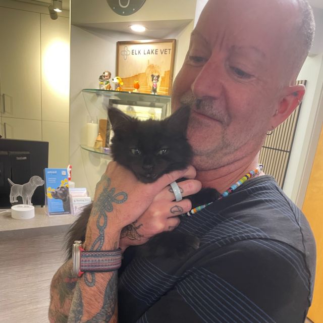 Thanks again to our friends @ Elk Lake Vet Hospital for hosting our most recent Kitten Meet & Greet this past Sunday, August 23rd. WE HAD A BLAST! We brought 10 kittens in total to the event and met so many great folks looking to adopt. Some magical matches were made (and some pre-approved adopters were able to pick up their kittens that day too!). We still have approximately 25 younger kittens in our foster homes. All of these kittens are connected to our north Salt Spring black cat colony management project. What colour are the kittens? You guessed it - BLACK (or black and white)! If you love black cats as much as we do - please reach out about adopting. Special thanks to Dean (Elk Lake Practice Manager) who stuck around for the day and snuggled kittens. Also thanks to Tracy, Michelle and Mary - our amazing volunteers who helped to show our kittens all day (and helped with set up and take down!). If you would like more information about other available kittens, please reach out - info@catsofsaltspring.com or 236-508-2287