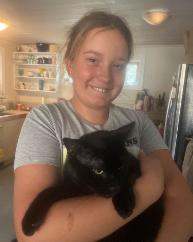 Congratulations to Tommy (now Walter) whose adoption was finalized yesterday! Hooray! Walter had been in foster-to-adopt placement with Jess and Izzy for a few weeks to make sure it was a PURRfect fit (and it is!). Walter originally came into our care through a colony management project on Mt Maxwell. What a great life he will have with Jess and Izzy! Kitten Coconut went off to become a big city girl yesterday. Coconut came into our care in June this year as part of our north SSI black cat colony management project. Sweet and snuggly, we just know that she is going to have fun with Carolina and her family and her feline sister Brie. Thanks so much to Shelby and her family for fostering Coconut and her brothers Kiwi and Papaya. Still looking for your PURRfect companion? Come and see us TODAY for our Kitten Meet & Greet at Elk Lake Vet Hospital (11 am to 3 pm). Our kittens can’t wait to meet you!